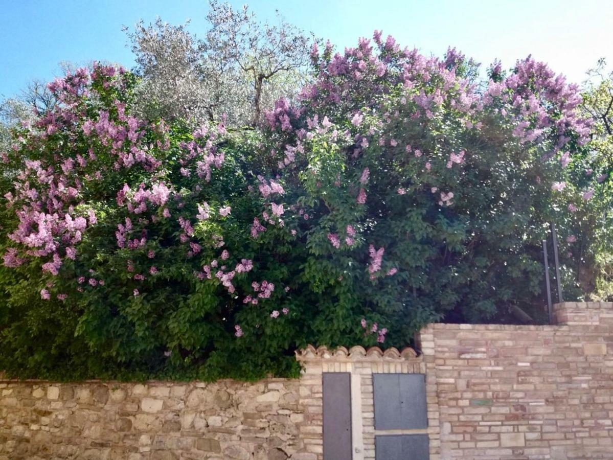 Lavanda E Rosmarino Home 阿西西 外观 照片